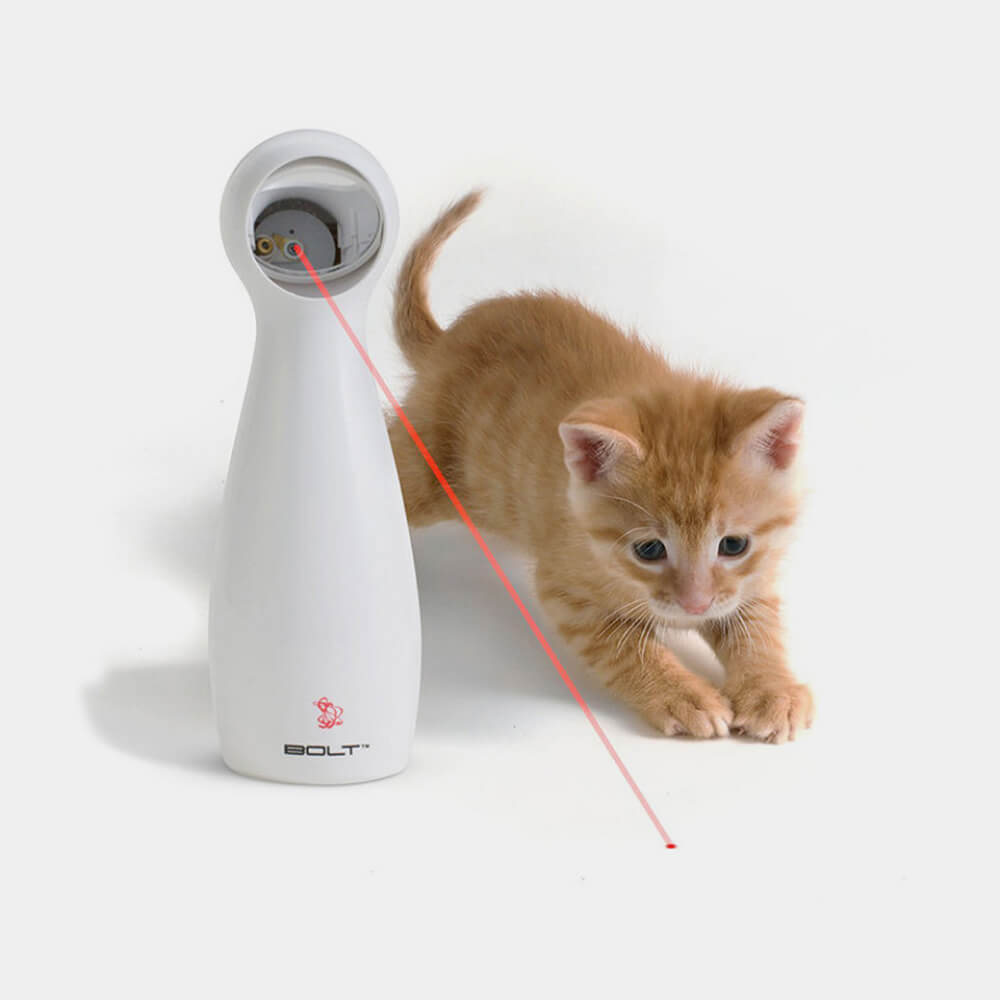 Image_product_#11