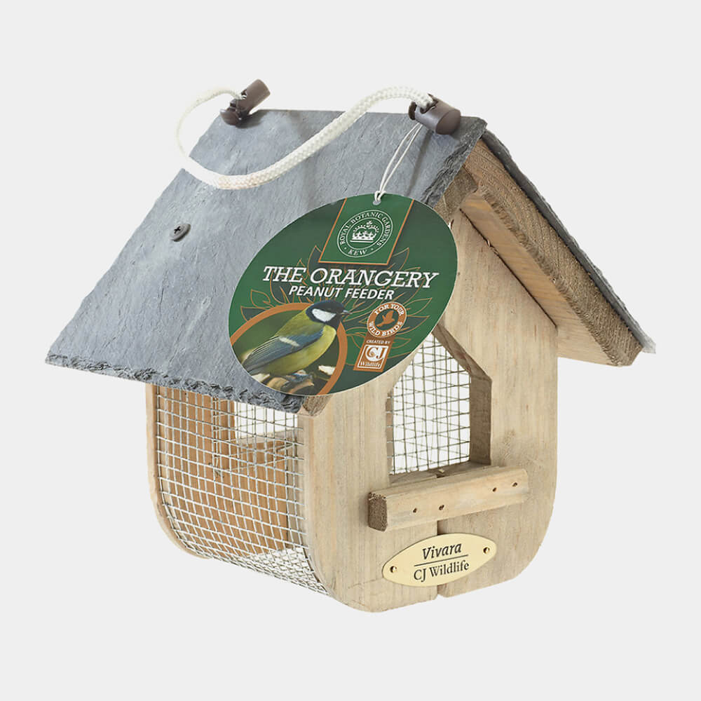 Image_product_#13