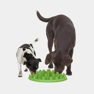 Applaws Cat Food